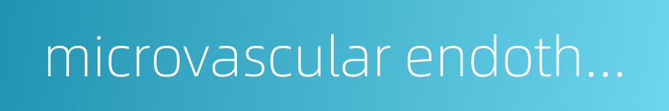 microvascular endothelial cell的同义词