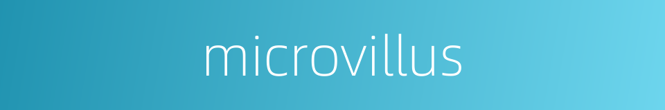 microvillus的同义词
