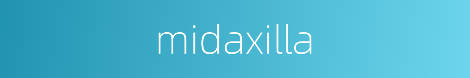 midaxilla的同义词