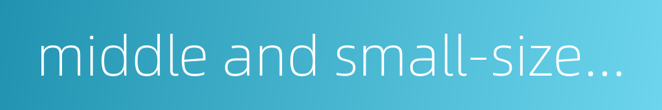 middle and small-sized enterprises的同义词