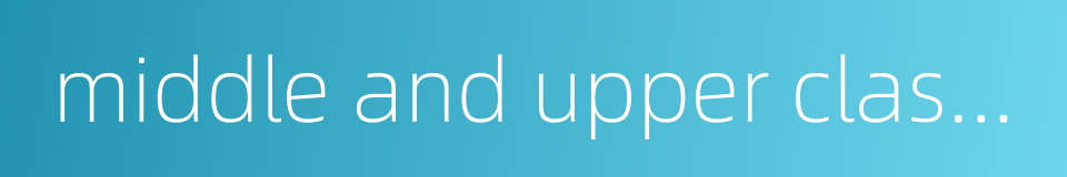 middle and upper class hotels的同义词