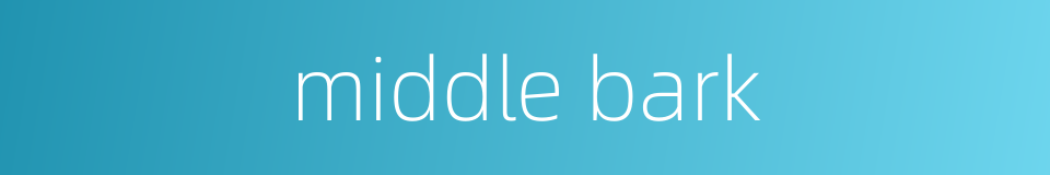 middle bark的同义词