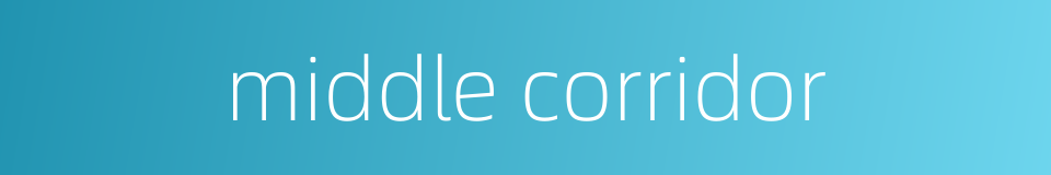 middle corridor的同义词