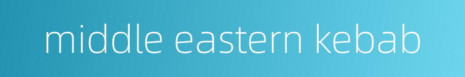 middle eastern kebab的同义词