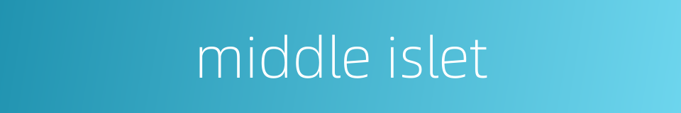 middle islet的同义词