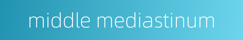 middle mediastinum的同义词