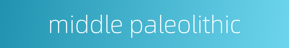 middle paleolithic的同义词