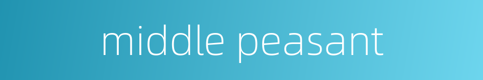 middle peasant的同义词