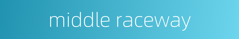 middle raceway的同义词