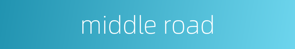middle road的同义词