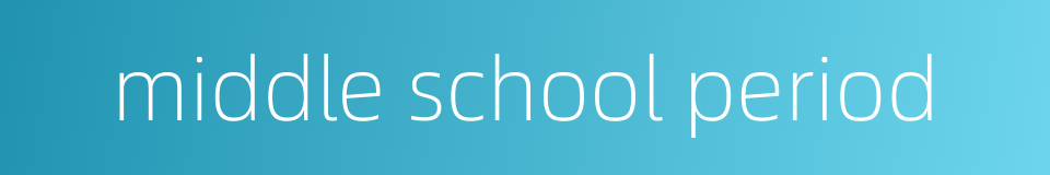 middle school period的同义词