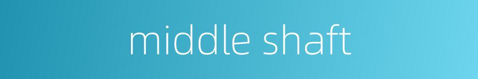 middle shaft的同义词