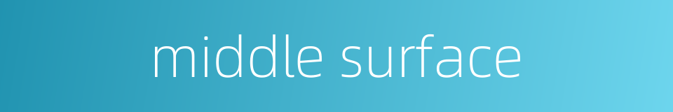 middle surface的同义词