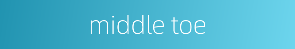 middle toe的同义词