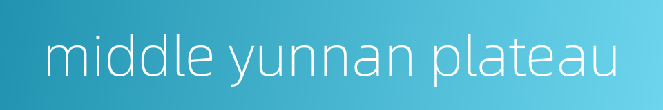 middle yunnan plateau的同义词