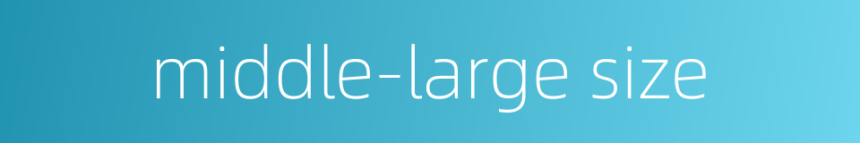 middle-large size的同义词