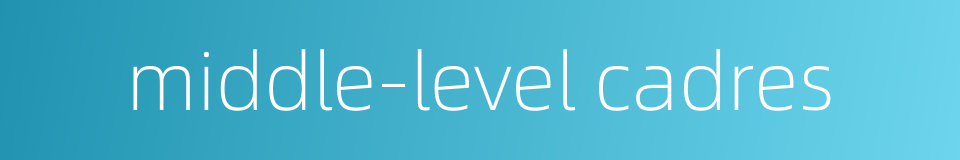 middle-level cadres的同义词