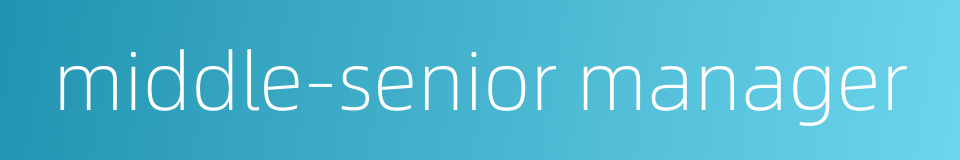 middle-senior manager的同义词