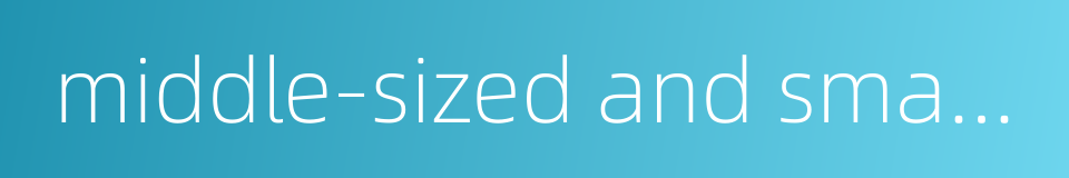 middle-sized and small cities的同义词