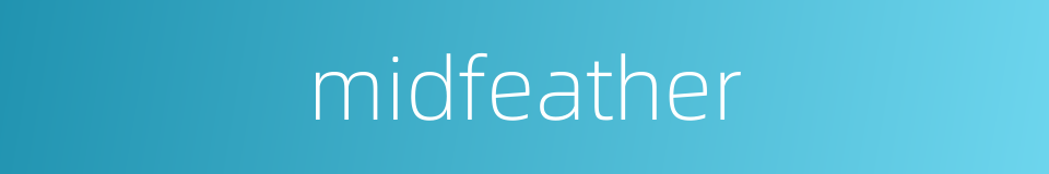 midfeather的同义词