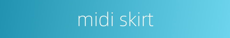 midi skirt的同义词