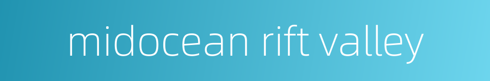 midocean rift valley的同义词