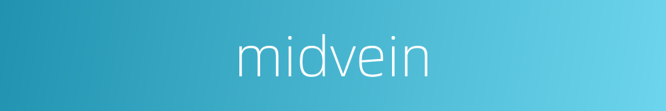 midvein的同义词