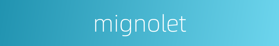mignolet的同义词