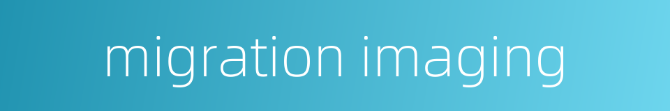 migration imaging的同义词