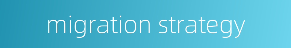 migration strategy的同义词