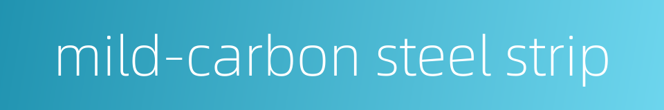 mild-carbon steel strip的同义词