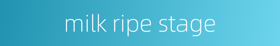 milk ripe stage的同义词