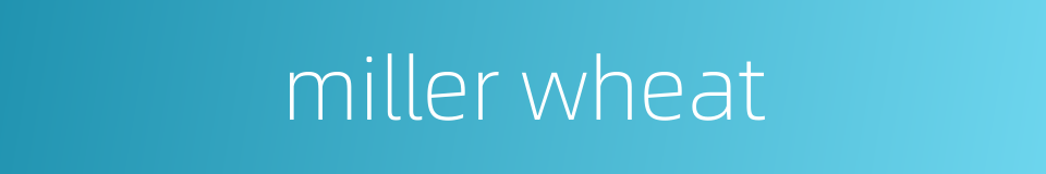 miller wheat的同义词