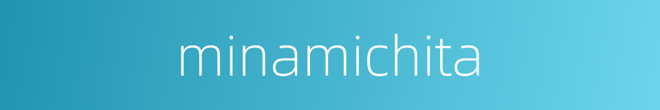 minamichita的同义词