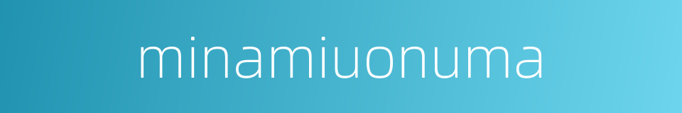 minamiuonuma的同义词