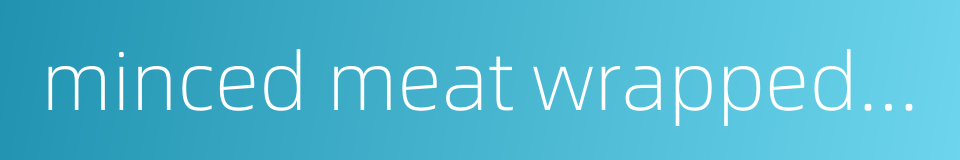 minced meat wrapped in cabbage的同义词