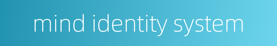 mind identity system的同义词