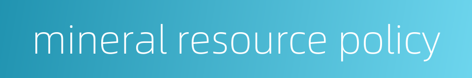 mineral resource policy的同义词