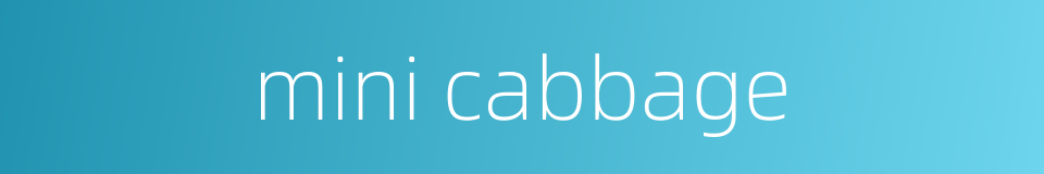 mini cabbage的同义词
