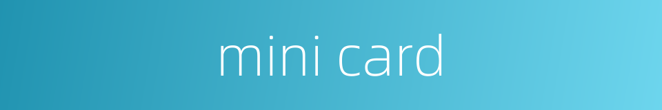 mini card的同义词