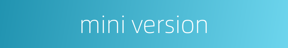 mini version的同义词