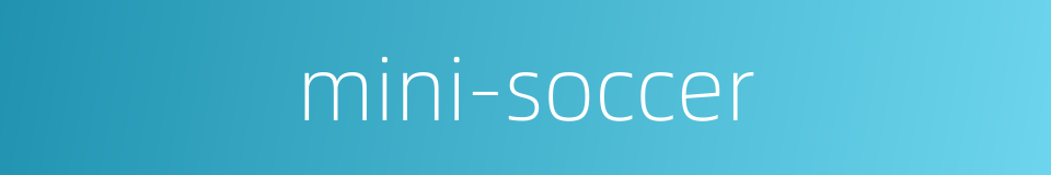 mini-soccer的同义词