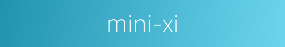 mini-xi的同义词