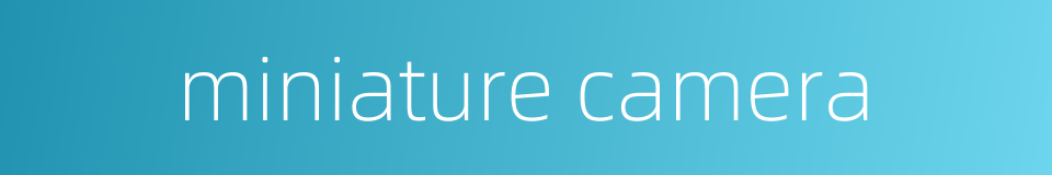 miniature camera的同义词
