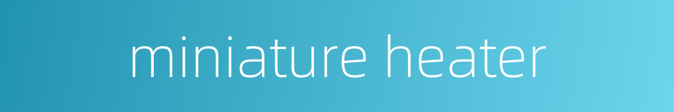 miniature heater的同义词