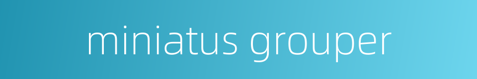 miniatus grouper的同义词