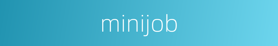 minijob的同义词