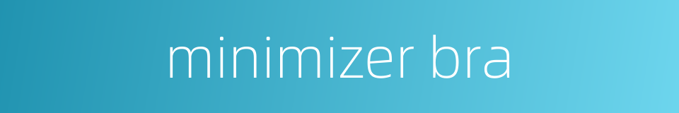 minimizer bra的同义词