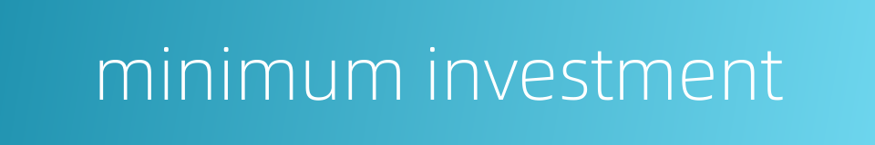 minimum investment的同义词