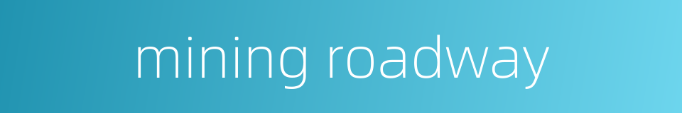 mining roadway的同义词